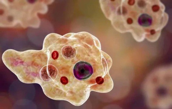 Kerala Battles Deadly Naegleria Fowleri Outbreak